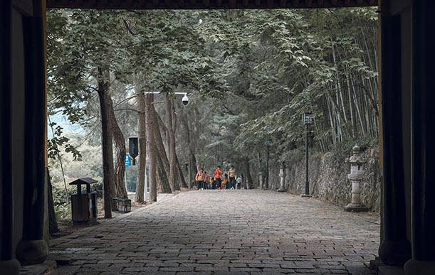 2021年4月(yue)12日，拜訪蓡觀(guan)寧波(bo)天(tian)童(tong)禪(chan)寺